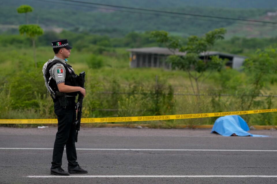 En mexicansk soldat står vakt ved et lik som ble funnet på en hovedvei i Culiacán i september. En mexicansk soldat står vakt ved et lik som ble funnet på en hovedvei i Culiacán i september. Foto: Eduardo Verdugo / AP / NTB