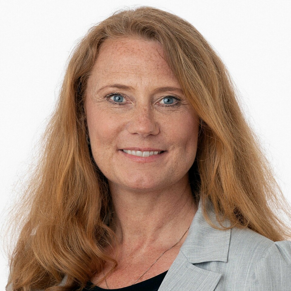 Pernille Rieker er forsker ved Nupi. Pernille Rieker er forsker ved Nupi.