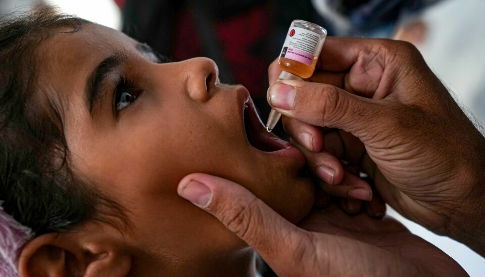 En jente får poliovaksine i Gaza i september. Nå er det duket for andre dose. Foto: Abdel Kareem Hana / AP / NTB Et barn får en dose poliovaksine i Deir al-Balah sentralt på Gazastripen 1. september. Foto: Abdel Kareem Hana / AP / NTB