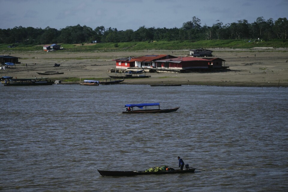Lav vannstand i Amazonas-elva på grunn av tørke. Verden ligger an til global oppvarming på over 3 grader før århundreskiftet om man ikke får kontroll på utslippene, med tørke og andre naturkatastrofer som konsekvens. Lav vannstand i Amazonas-elva på grunn av tørke. Verden ligger an til global oppvarming på over 3 grader før århundreskiftet om man ikke får kontroll på utslippene, med tørke og andre naturkatastrofer som konsekvens. Foto: Ivan Valencia / AP / NTB