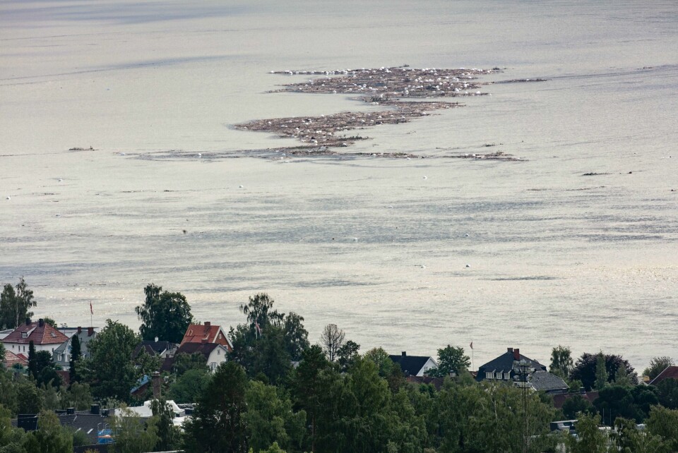 Halmballer, trær og skrap kom flytende med elven Lågen og ut i nordenden av Mjøsa ved Lillehammer etter Hans sine herjinger i 2023. De samme områdene ser ut til å bli hardest rammet av regnværet de neste dagene. Halmballer, trær og skrap har kommet flytende med elven Lågen og ut i nordenden av Mjøsa ved Lillehammer etter Hans sine herjinger.
Foto: Geir Olsen / NTB