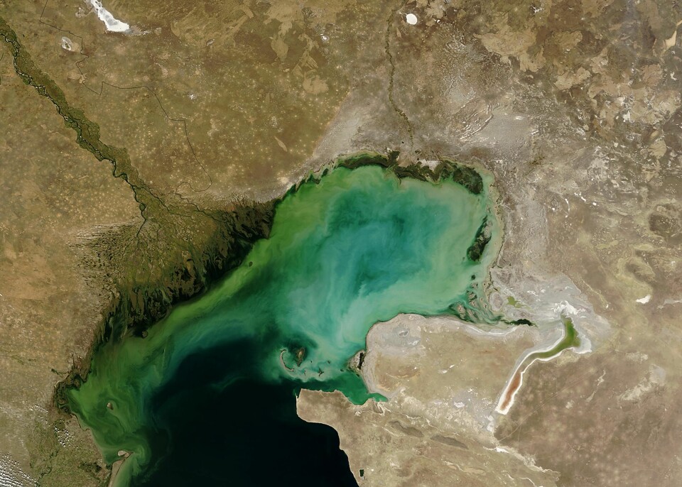 Dette sanne fargebildet fra Terra MODIS, publisert 1. oktober 2003, viser sedimentklynger i den nordlige Kaspihavet, fraktet av Volga- og Emba-elvene. Dette sanne fargebildet fra Terra MODIS, publisert 1. oktober 2003, viser sedimentklynger i den nordlige Kaspihavet, fraktet av Volga- og Emba-elvene.