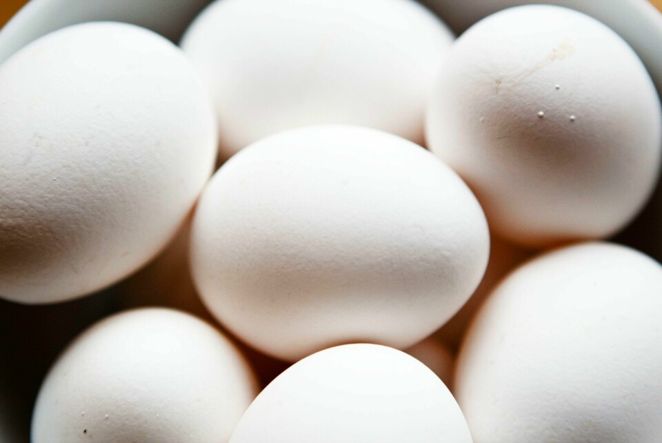 De siste månedene har det blitt importert mer egg til Norge som følge av mangelen i det norske markedet. Bortsett fra i 2015 har det aldri før blitt importert så store mengder polske egg som i år.