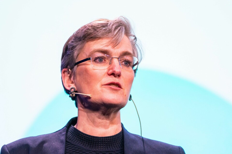 Ellen Hambro, direktør i Miljødirektoratet. – I hverdagen i Oslo kjører jeg aldri bil. Stort sett bruker jeg sykkel og noen ganger T-bane, forteller Ellen Hambro, direktør i Miljødirektoratet.