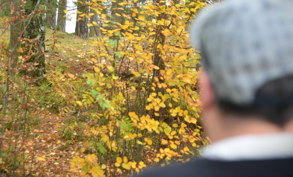 Be om hjelp fra en frivillig organisasjon var eneste utvei familiefaren så for å kunne få brød på bordet og matpakker til barna. Be om hjelp fra en frivillig organisasjon var eneste utvei familiefaren så for å kunne få brød på bordet og matpakker til barna.