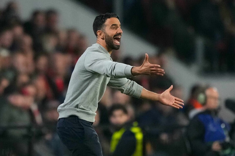 Manchester United ønsker seg Ruben Amorim som ny hovedtrener, melder et samstemt engelsk pressekorps. Manchester United ønskjer seg Ruben Amorim som ny hovudtrenar, melder eit samstemt engelsk pressekorps. Sjølv vil ikkje portugisaren kommentere rykta. Foto: Peter Dejong / AP / NTB