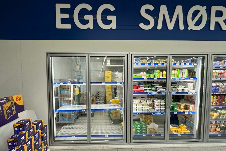Det var tomt for egg i flere butikker i vår. Nå vil dagligvarekjedene importere egg fra Danmark for å sikre nok egg til julebaksten. Det var tomt for egg i flere butikker i vår. Nå vil dagligvarekjedene importere egg fra Danmark for å sikre nok egg til julebaksten. Foto: Cornelius Poppe / NTB