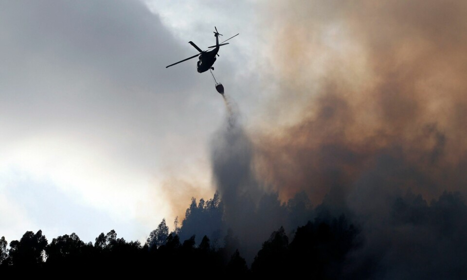 Et helikopter deltok i slukningen av en brann som rammet eukalyptus- og furutrær i Colombia under en hetebølge i 2013. Varianter av eukalyptus står på IUCNs liste over utrydningstruede trær. Et helikopter deltok i slukningen av en brann som rammet eukalyptus- og furutrær i Colombia under en hetebølge i 2013. Varianter av eukalyptus står på IUCNs liste over utrydningstruede trær. Foto: Fernando Vergara / AP / NTB