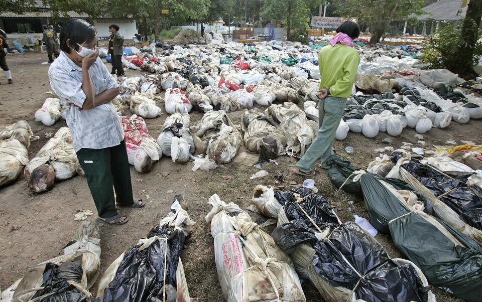 Over 230.000 mennesker døde som følge av Tsunamien som rammet Thailand og 13 andre land i 2004. Forskning viser at mangroveskoger kan dempe effekten av tsunamier og dermed redde liv. Over 230.000 mennesker døde som følge av Tsunamien som rammet Thailand og 13 andre land i 2004. Forskning viser at mangroveskoger kan dempe effekten av tsunamier og dermed redde liv.