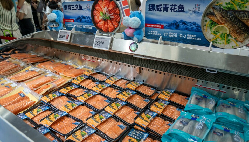 Asia står for mye av veksten i norsk sjømateksport. Supermarkedkjeden Hema Fresh i Shanghai har mye norsk sjømat, blant annet laks og makrell i kjøledisken. Supermarkedkjeden Hema Fresh i Shanghai har mye norsk sjømat, blant annet laks og makrell i kjøledisken. Etter EU er Kina det viktigste markedet for norsk sjømateksport, målt i volum. Kina handlet norsk sjømat for 2,5 milliarder i tredje kvartal, en vekst på 16 prosent. Foto: Heiko Junge / NTB