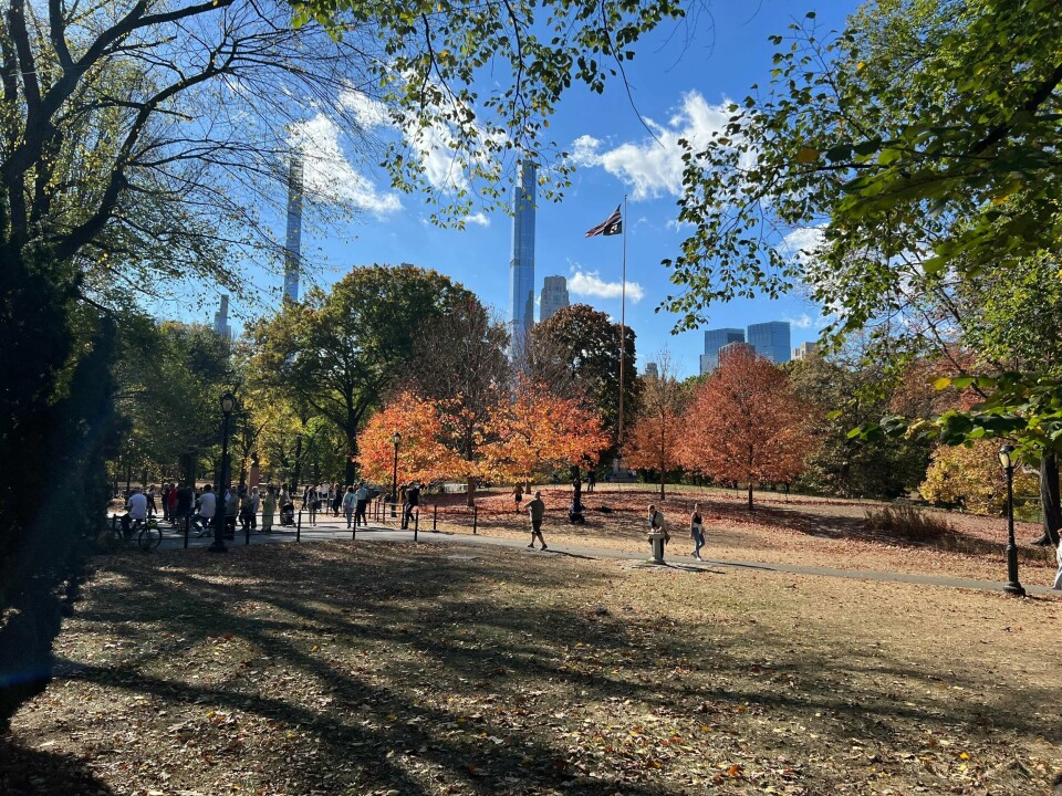 Høsten har kommet til Central Park i New York når Dagsavisen besøker byen. Høsten har kommet til Central Park i New York når Dagsavisen besøker byen.