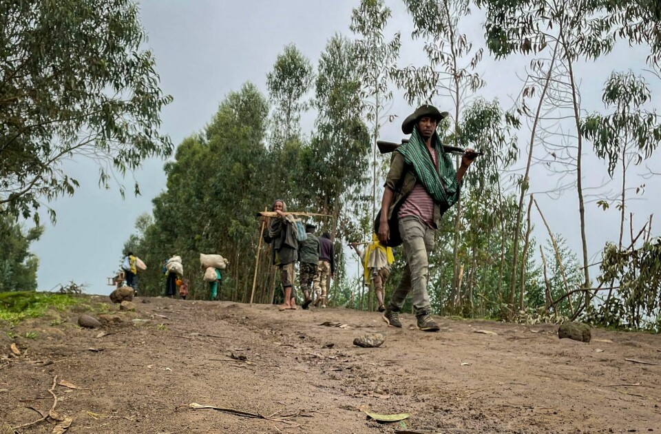 Etiopiske regjeringsstyrker jakter på militsmedlemmer i Amhara-regionen og har sperret tusenvis av sivile inne i fangeleirer, ifølge Amnesty International. Minst 183 mennesker er ifølge FN drept i kamper mellom regjeringsstyrker og Fano-militsen i Amhara-regionen siden juli. Dette bildet av en militssoldat er fra 2021. Foto: AP / NTB.