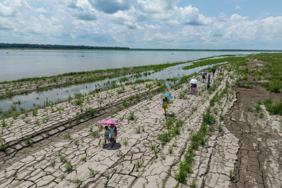 Langvarig tørke og lav vannstand i Amazonas, som her ved Leticia i Colombia, skaper problemer for drikkevann, mat, skoler og helsesentre i Bazil, Colombia og Peru. Over 420.000 barn er i fare, advarer Unicef. Arkivfoto. Langvarig tørke og lav vannstand i Amazonas, som her ved Leticia i Colombia, skaper problemer for drikkevann, mat, skoler og helsesentre i Bazil, Colombia og Peru. Over 420.000 barn er i fare, advarer Unicef. Arkivfoto: Ivan Valencia / AP / NTB