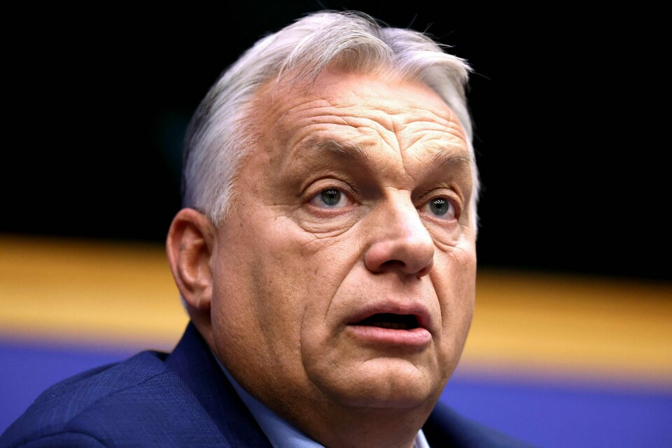 Ungarns statsminister Viktor Orban grunnla Fidesz i 1988, og har ledet partiet siden. Hungary's Prime Minister Viktor Orban gives a press conference, on the sidelines of a plenary session at the European Parliament in Strasbourg, eastern France, on October 8, 2024. Hungary has followed the Netherlands in seeking an opt-out from EU rules on asylum, a minister has said, as the country's nationalist leader Viktor Orban headed to European Parliament on October 8. (Photo by FREDERICK FLORIN / AFP)