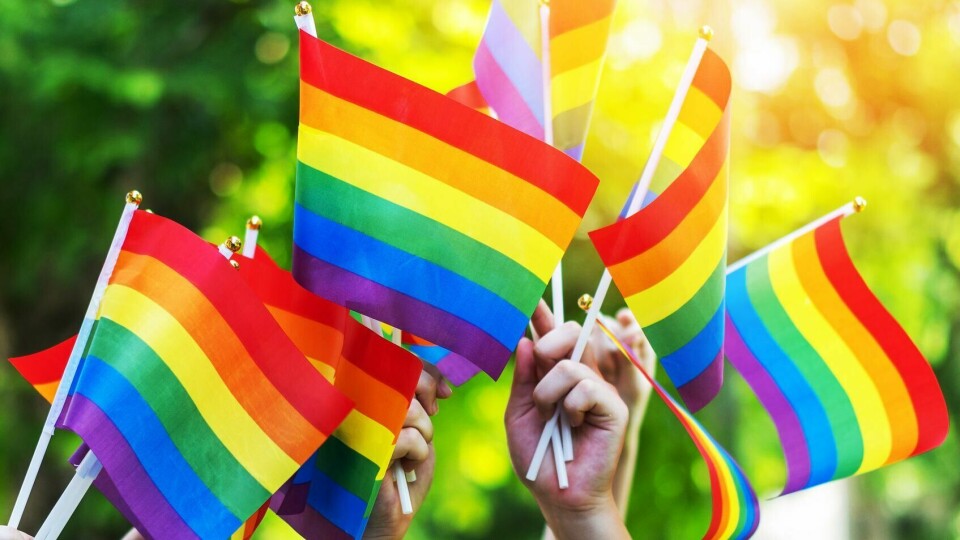 I Lyngdal kommune er det vedtatt at det ikke er lov å ha prideflagg på kontoret. Pride, flagg, regnbueflagg