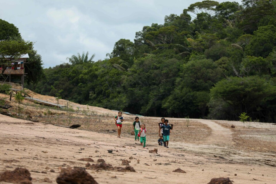 Flere enn 420.000 barn i Amazonas-regionen har blitt hardt rammet av en tørke nå i høst. Flere enn 420.000 barn i Amazonas-regionen har blitt hardt rammet av en tørke nå i høst.