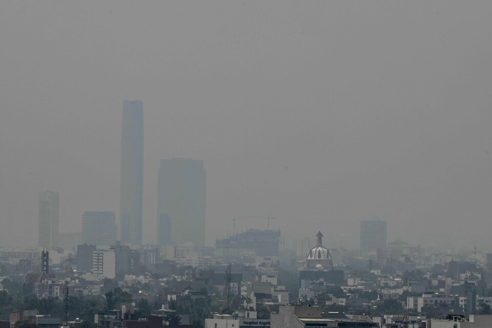 Mexico City. Mexico City.