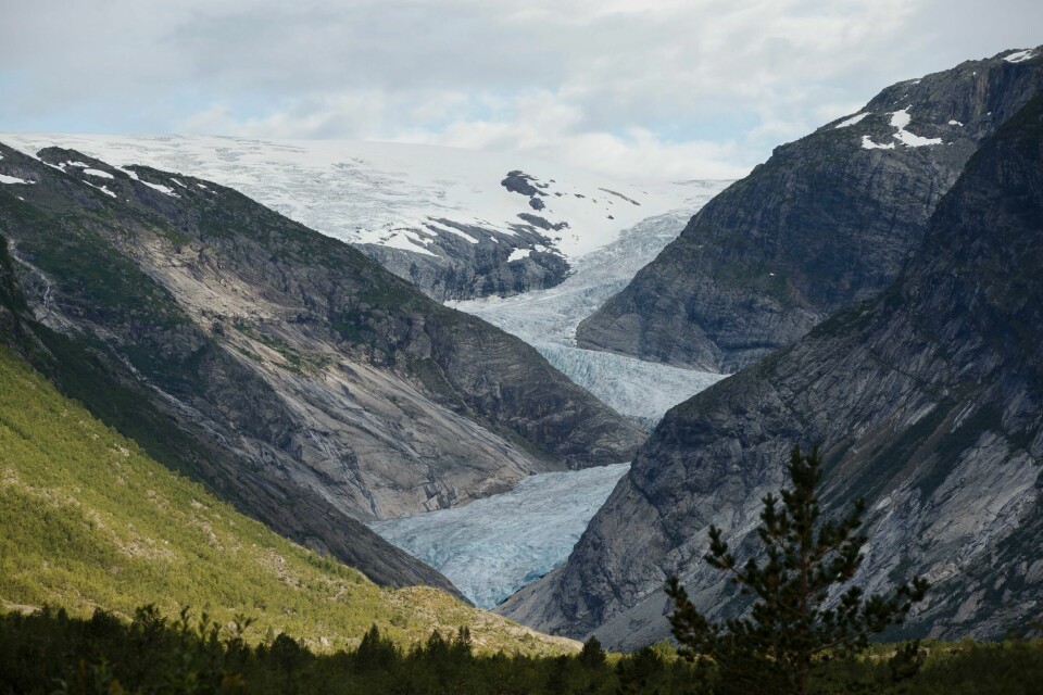 Nigardsbreen, en arm av Jostedalsbreen, fotografert i 2015. Siden da har den trukket seg en del tilbake. Nigardsbreen, en arm av Jostedalsbreen, fotografert i 2015. Siden da har den trukket seg en del tilbake. Foto: Berit Roald / NTB