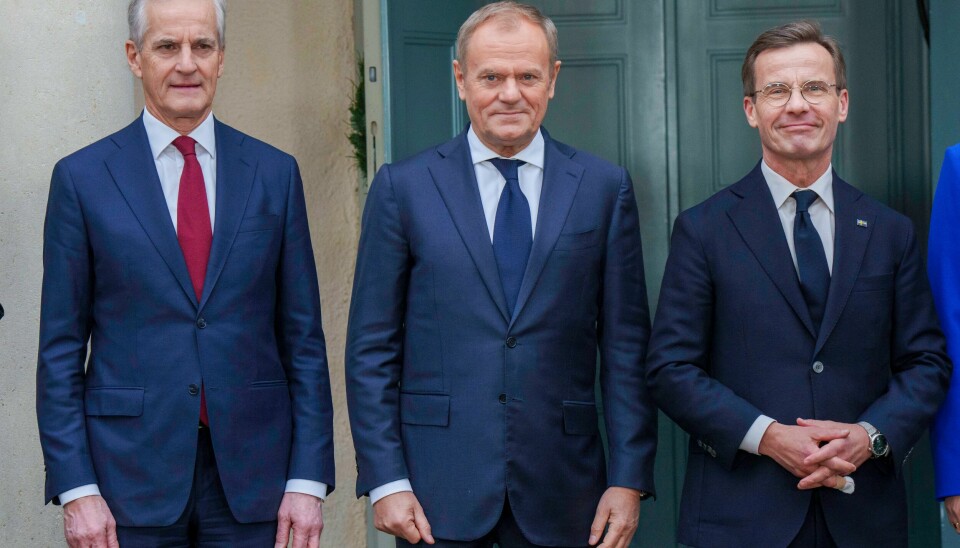 Polens statsminister Donald Tusk (midten) deltar sammen med blant andre Norges statsminister Jonas Gahr Støre (til venstre) på det nordisk-baltiske toppmøtet i Harpsund, der Sveriges statsminister Ulf Kristersson er vert. Polens statsminister Donald Tusk (midten) deltar sammen med blant andre Norges statsminister Jonas Gahr Støre (til venstre) på det nordisk-baltiske toppmøtet i Harpsund, der Sveriges statsminister Ulf Kristersson er vert. Foto: Cornelius Poppe / NTB