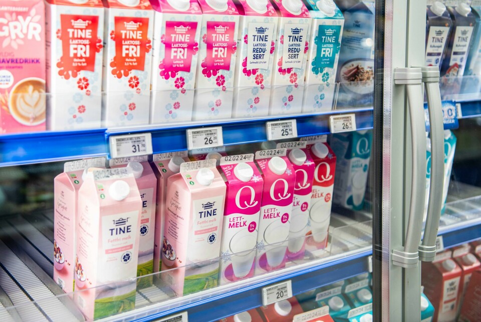 I 2025 får bønder produsere mer melk for å møte behovet til melketørste nordmenn. Tollsatsen kuttes for enda et melkeprodukt for å dekke etterspørselen i Norge. Foto: Rodrigo Freitas / NTB