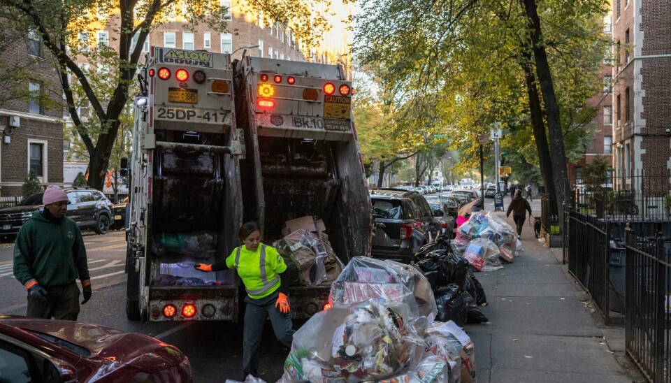 New Yorks innbyggere har i over 50 år slengt søppelsekker ut på fortauet, der de plukkes opp av renovasjonsarbeidere. Det har ført til tilgrising, lukt og rotteinvasjon, men nå er det innført påbud om søppeldunker med lokk. Foto: AP / NTB New Yorks innbyggere har i over 50 år slengt søppelsekker ut på fortauet, der de plukkes opp av renovasjonsarbeidere. Det har ført til tilgrising, lukt og rotteinvasjon, men nå er det innført påbud om søppeldunker med lokk. Foto: AP / NTB