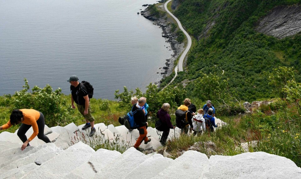 Dersom en norsk turistskatt ikke snart kommer på plass, går både Lofoten, Vestlandet og andre populære reisemål glipp av enda flere millioner, skriver forfatterne av innlegget. Bildet viser turister i sherpatrappene opp til det populære selfie-punktet Reinebringen i Lofoten. Mange hundre turister går daglig opp sherpatrappa til Reinebringen i Lofoten.