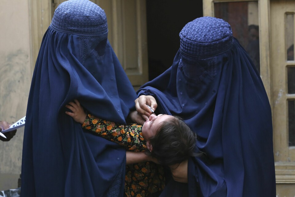 En kvinnelig afghansk helsearbeider gir et barn den viktige poliovaksinen tidligere i høst. Taliban har nå nedlagt forbud mot at kvinner skal få studere helsefag. En kvinnelig afghansk helsearbeider gir et barn den viktige poliovaksinen tidligere i høst. Taliban har nå nedlagt forbud mot at kvinner skal få studere helsefag. Foto: Shafiullah Kakar / AP / NTB