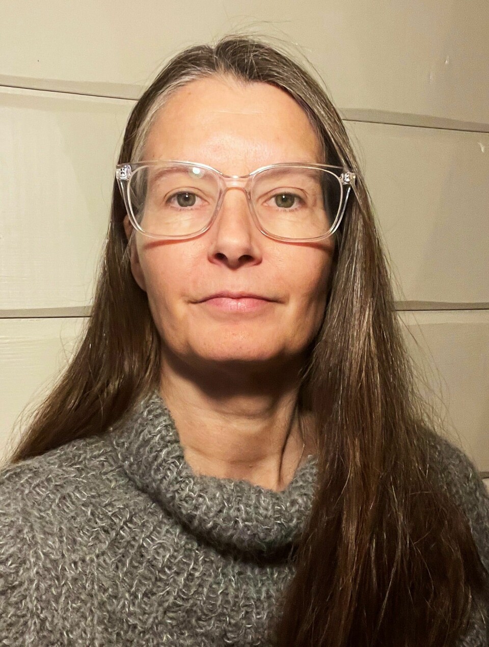 Heidi Linnerud er høgskolelektor og seksjonsleder for sosialfaglig arbeid ved Universitetet i Innlandet. Heidi Linnerud, høgskolelektor og seksjonsleder for sosialfaglig arbeid ved Universitetet i Innlandet