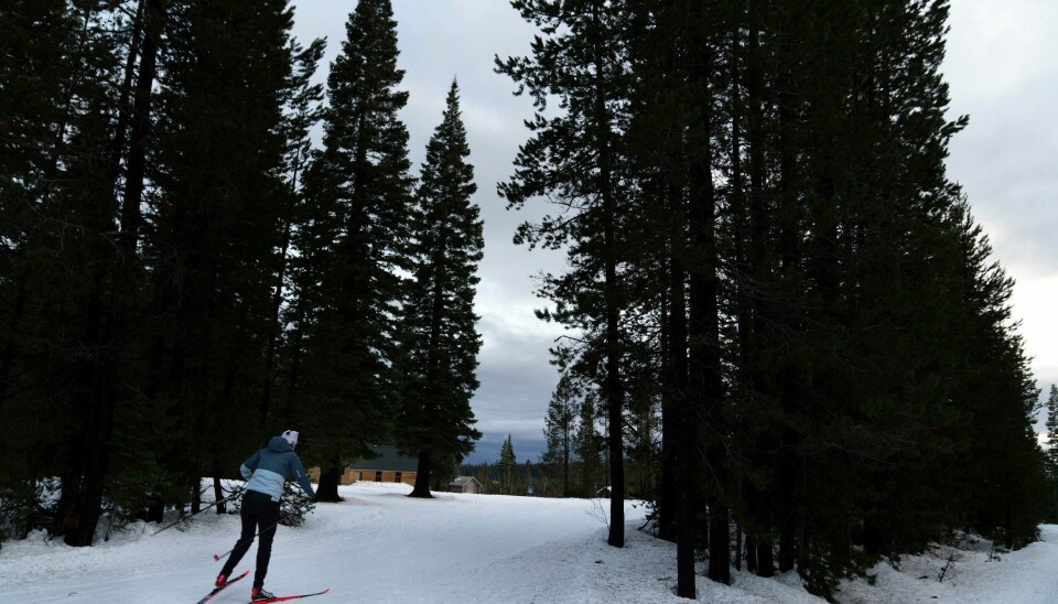 Personer i USAs skiskytterforbund blir beskyldt for å ha ignorert varsler om seksuelle overgrep. Personer i USAs skiskytterforbund blir beskyldt for å ha ignorert varsler om seksuelle overgrep. Foto: Jenny Kane / AP / NTB