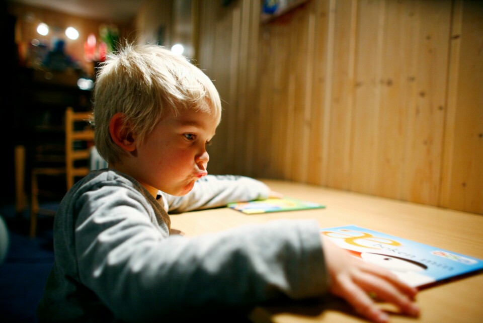 50 prosent av guttene leser ikke en bok på fritiden, skriver Trond Vernegg. 50 prosent av guttene leser ikke en bok på fritiden, skriver Trond Vernegg.