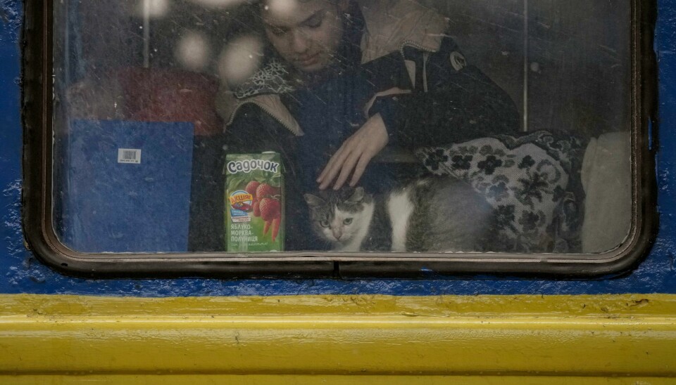 En flyktning har fått med seg katten sin på toget fra Kyiv til Lviv. Nå samler norske forfattere og oversettere inn penger til Røde Kors' arbeid i Ukraina. En flyktning har fått med seg katten sin på toget fra Kyiv til Lviv. Nå samler norske forfattere og oversettere inn penger til Røde Kors' arbeid i Ukraina.