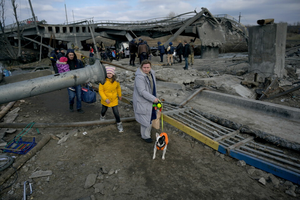 Torsdag er det to uker siden krigen i Ukraina startet. Her går folk blant ødeleggelsen i Romanivka i Ukraina torsdag. Torsdag er det to uker siden krigen i Ukraina startet. Her går folk blant ødeleggelsen i Romanivka i Ukraina torsdag.