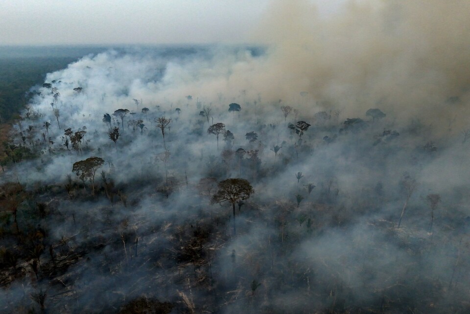 Verdens største tropiske våtmarksområde – Pantanal i Brasil, brenner. Dette bildet ble tatt 4. september i år. Verdens største tropiske våtmarksområde – Pantanal i Brasil, brenner. Dette bildet ble tatt 4. september i år.