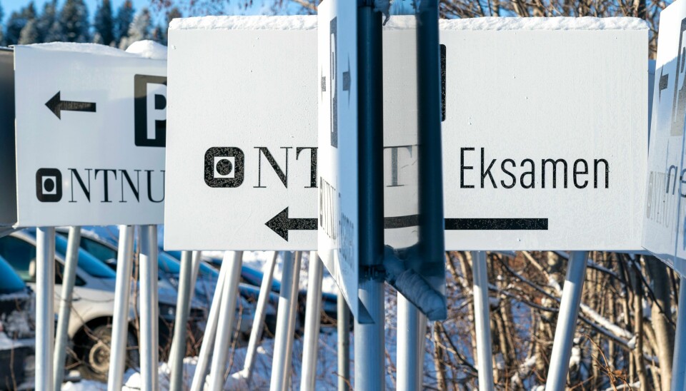 Utdanningsdirektoratet åpner for å vurdere andre alternativer til den tradisjonelle eksamen. Illustrasjonsfoto. Utdanningsdirektoratet åpner for å vurdere andre alternativer til den tradisjonelle eksamen.Illustrasjonsfoto: Gorm Kallestad / NTB