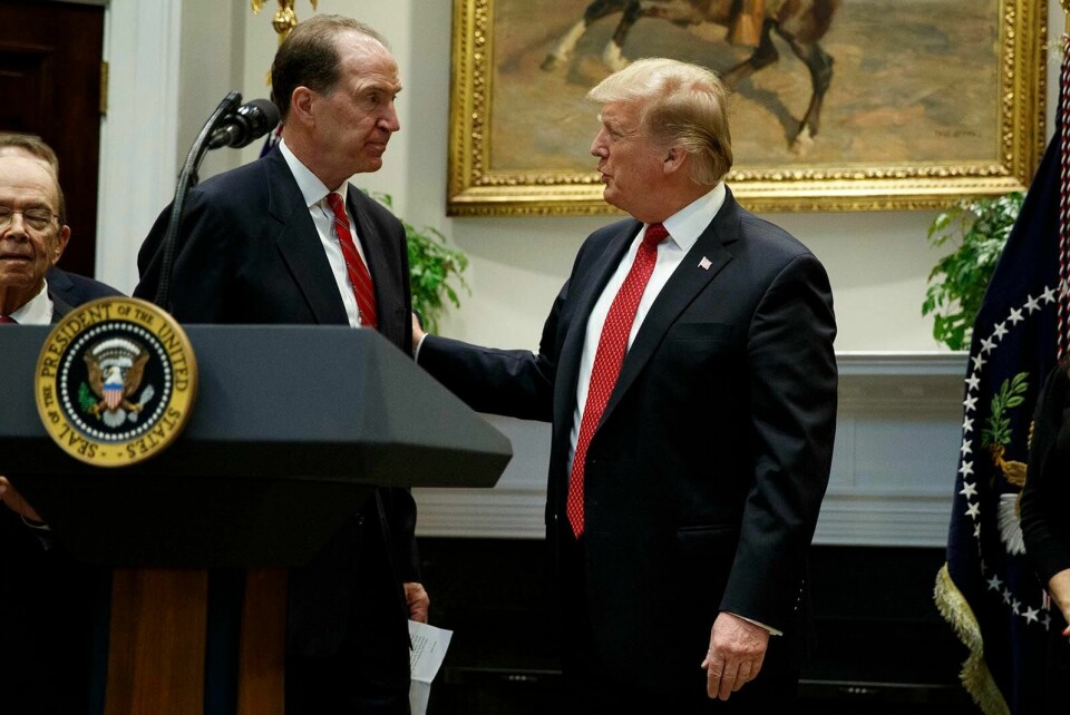 FAVORITT: I forrige måned utpekte USAs president Donald Trump David Malpass som sin kandidat som president i Verdensbanken. FOTO: EVAN VUCCI/NTB SCANPIX