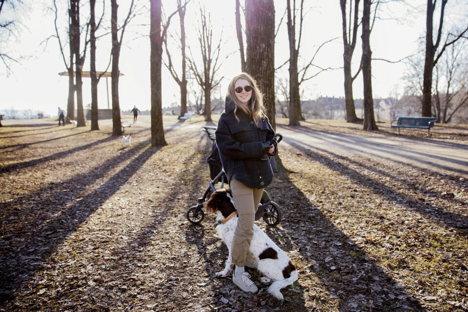 Ekaterina Østman med hundene Bonus og Charlie i Torshovparken. – De er veldig lydige og går stort sett løse. Selv om Bonus er en fuglehund, er han mest interessert i brød. Men i båndtvangperioden har jeg dem i bånd hvis vi er i skogen, forteller Østman. Ekaterina Østman med hundene Bonus og Charlie i Torshovparken