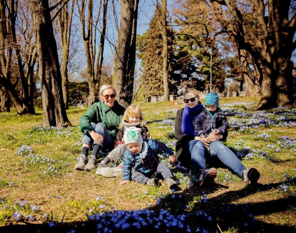 bypåskestemning i botaniske: Helene Beck og Kristine Friis Gabrielsen har tatt piknik på et teppe av blå russeblåstjerner sammen med barna Per, Fredrik og Anna. FOTO: HILDE UNOSEN