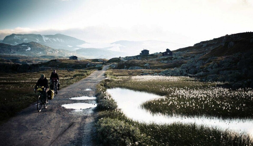 POPULÆRT: Rallarvegen, som flere ganger er blitt kåret til Norges vakreste sykkelvei, lokker tusenvis av personer til å ta med seg sykkelen på toget. Hvorfor kan ikke NSB tilrettelegge for plass til flere sykler ombord i togene også på andre strekninger? spør Hårek Elvenes (H).