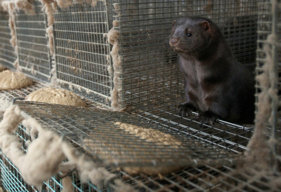 Illustrasjonsfoto: Alf Ove Hansen, NTB/Scanpix