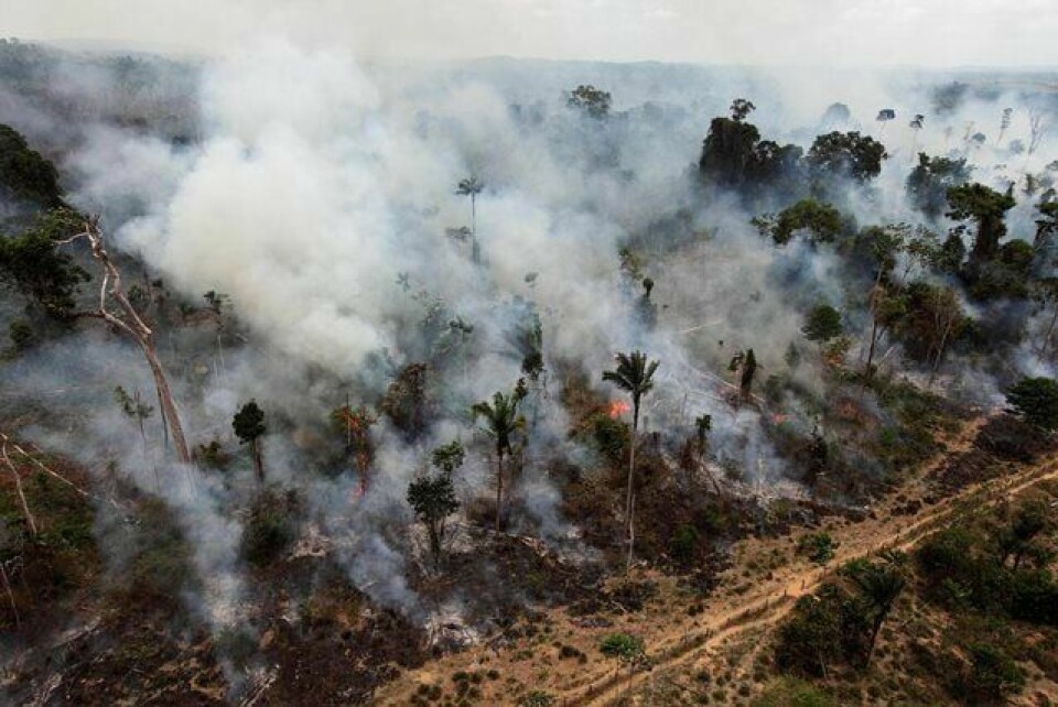REGNSKOG I BRANN: Slik så det ofte ut i Brasils regnskoger i 2009, da toppen for ulovlig nedbrenning av skog ble nådd. Klima- og skogsatsingen i Brasil og Indonesia har bidratt til at mindre skog blir fjernet. FOTO: ANDRE PENNER/NTB SCANPIX