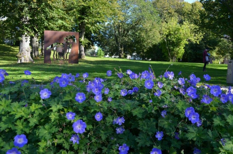 - Målet er å planlegge for en by hvor det er godt å leve og bevege seg, skriver Inger Hilmersen, virksomhetsleder Park, Fredrikstad kommune i denne kronikken.