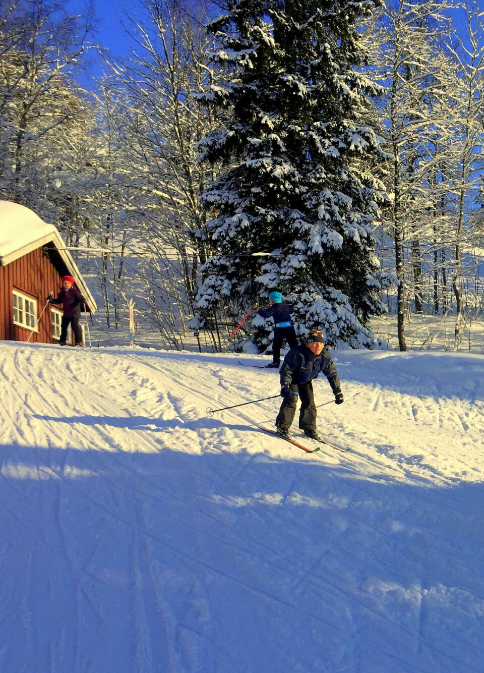drammensmarka: Minihoppbakken ved Skioldhytta på Konnerud er populær, og serveringshyttene Tverken og SIF-hytta holder åpent flere ukedager i tillegg til helger (sjekk i sak), om du vil følge «hovedfartsårene». FOTO: KATRINE STRØM drammensmarka: Minihoppbakken ved Skioldhytta på Konnerud er populær, og serveringshyttene Tverken og SIF-hytta holder åpent flere ukedager i tillegg til helger (sjekk i sak), om du vil følge «hovedfartsårene». FOTO: KATRINE STRØM