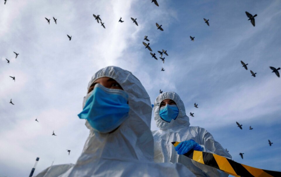 Israelske dyrevernaktivister demonstrerte i november mot spredning av koronavirus blant danske mink-besetninger. Foto: Oded Balilty/NTB Israelske dyrevernaktivister demonstrerte i november mot spredning av koronavirus blant danske mink-besetninger. Foto: Oded Balilty/NTB