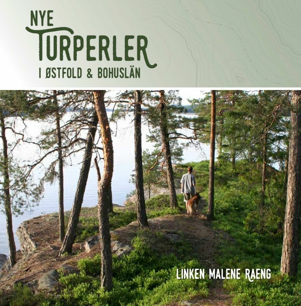 Linkens turtips: Bjørnåsen ###