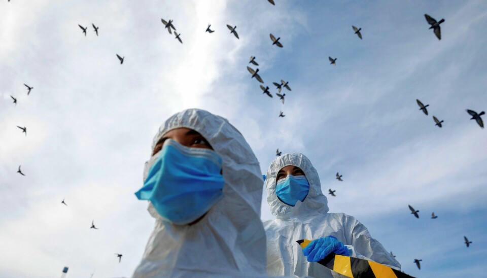 Israelske dyrevernsaktivister demonstrerte i november mot spredning av koronavirus blant danske mink-besetninger. Foto: Oded Balilty/NTB