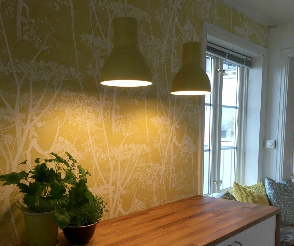 Lamper fra Ikea fikk nytt liv ved å spraylakkeres i samme farge som tapetet. FARGETRIKS: Lamper fra Ikea fikk nytt liv ved å spraylakkeres i samme farge som tapetet. Foto: Privat