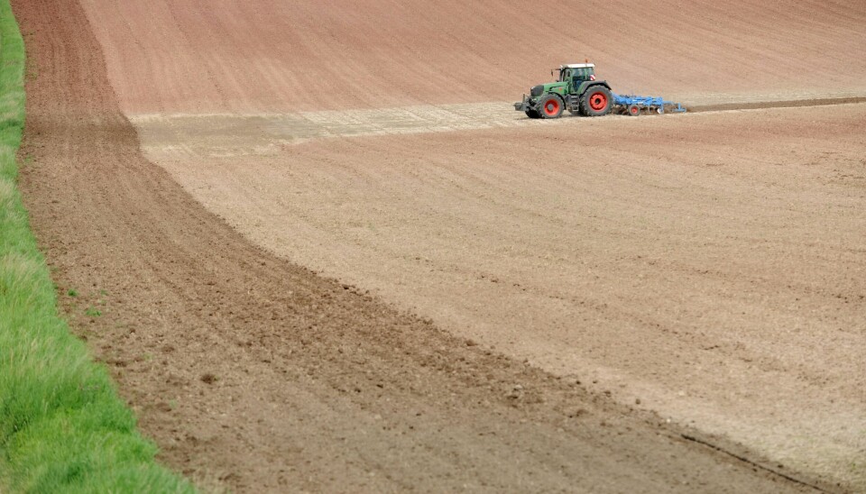 Jordbruksarealet i Norge utgjør rundt 3 prosent av landarealet, og en tredel av dette arealet egner seg for dyrking av matkorn. Foto: Frank May / NTB