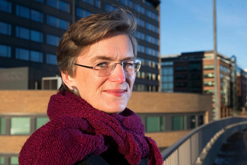 Mange av EE-produkturene vi kaster havner i land i Afrika fordi uvedkommende får hendene på dem, forteller Ellen Hambro, direktør i Miljødirektoratet.