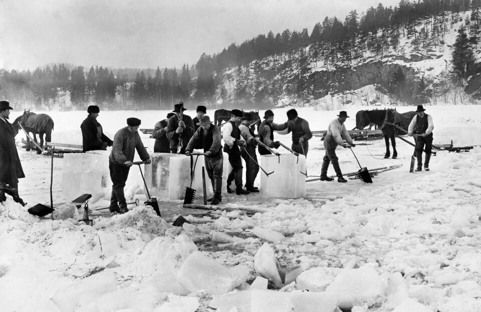 På Østensjøvannet ble det skåret is til 1920-tallet. Kunden ville ha glassklar is og det var derfor en omfattende jobb å måke og rense vannet slik at det ikke kom forurensing til. Foto fra 1902. På Østensjøvannet ble det skåret is til 1920-tallet. Kunden ville ha glassklar is og det var derfor en omfattende jobb å måke og rense vannet slik at det ikke kom forurensing til. Foto fra 1902.