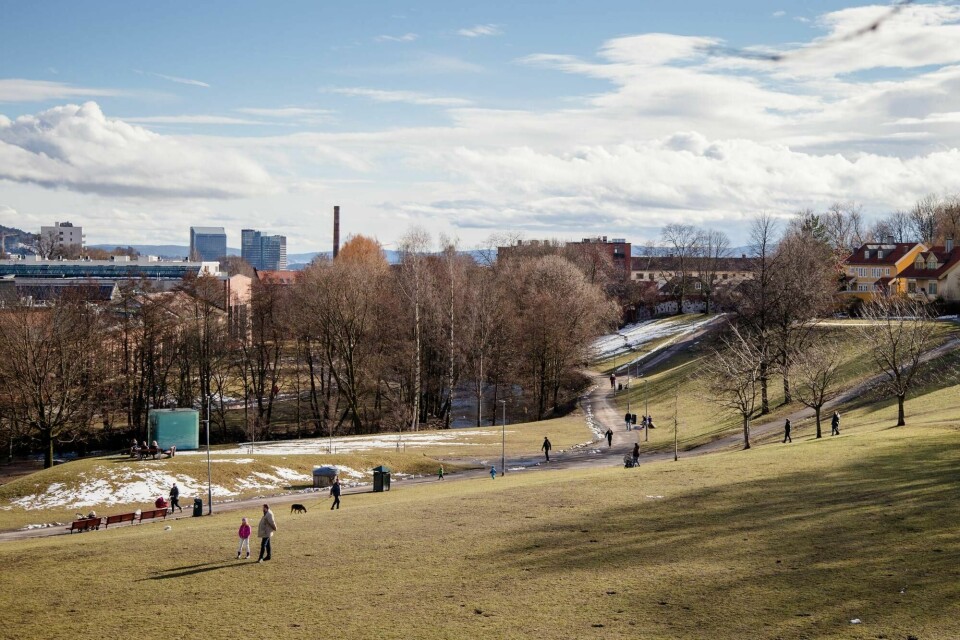 Lørdag er 19 ansatte i hjemmetjenesten i Sagene bekreftet smittet, og 26 ansatte er i karantene.